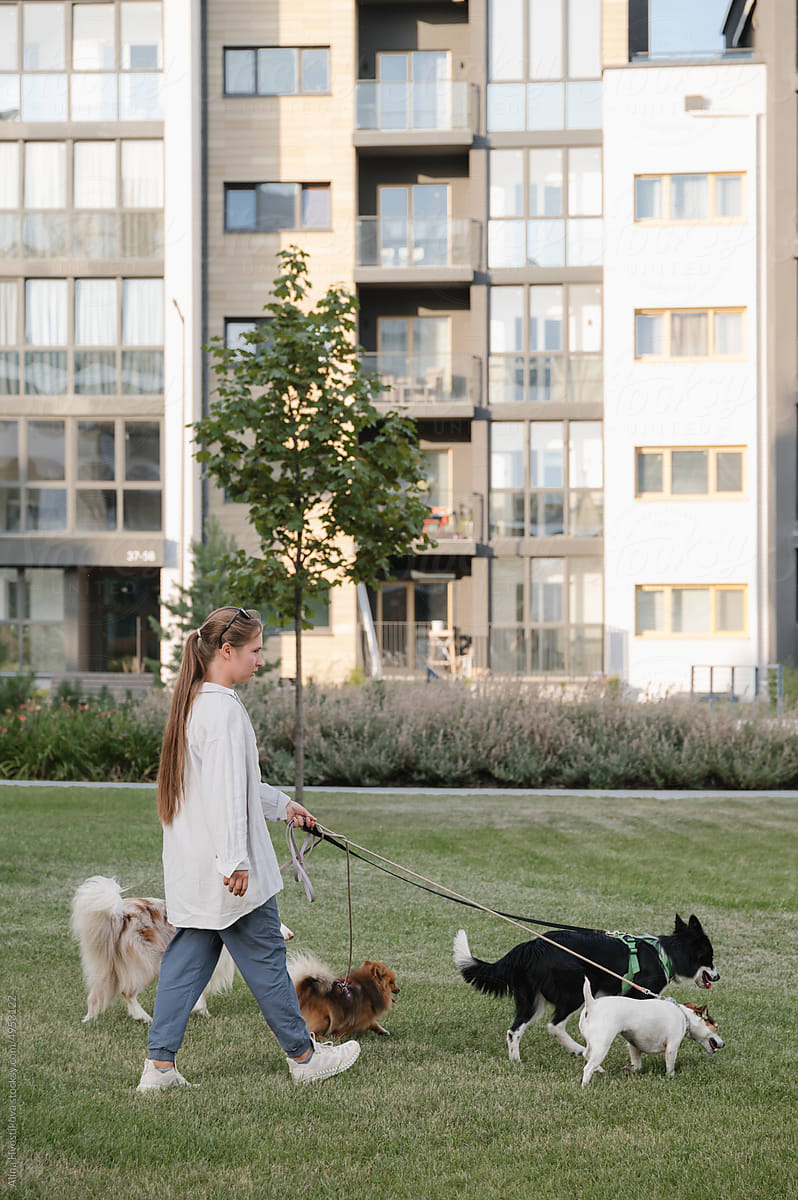 Woman with dogs walking on lawn near building
