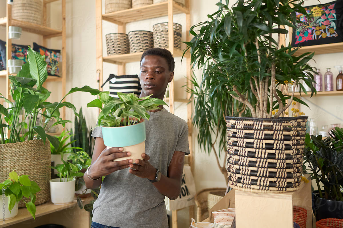 A shop customer browsing for a houseplant
