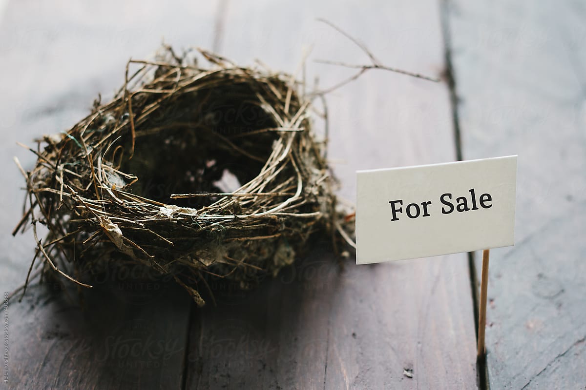 An empty nest with a For Sale sign