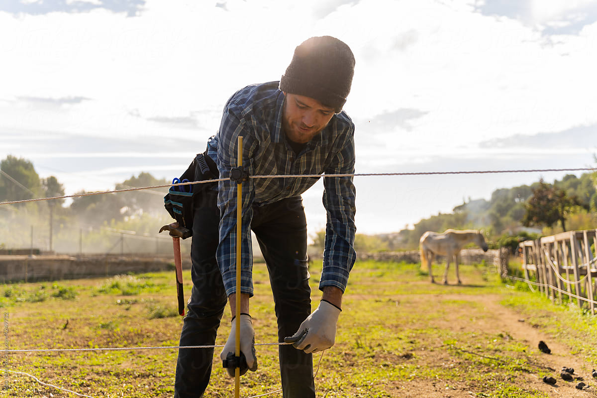 Field worker installing electric shepherd