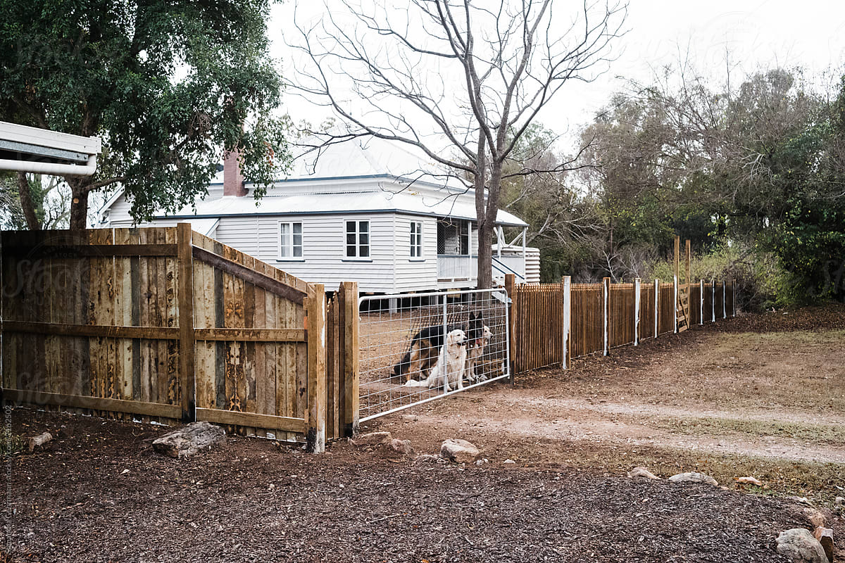 Raw timber fencing around colonial home