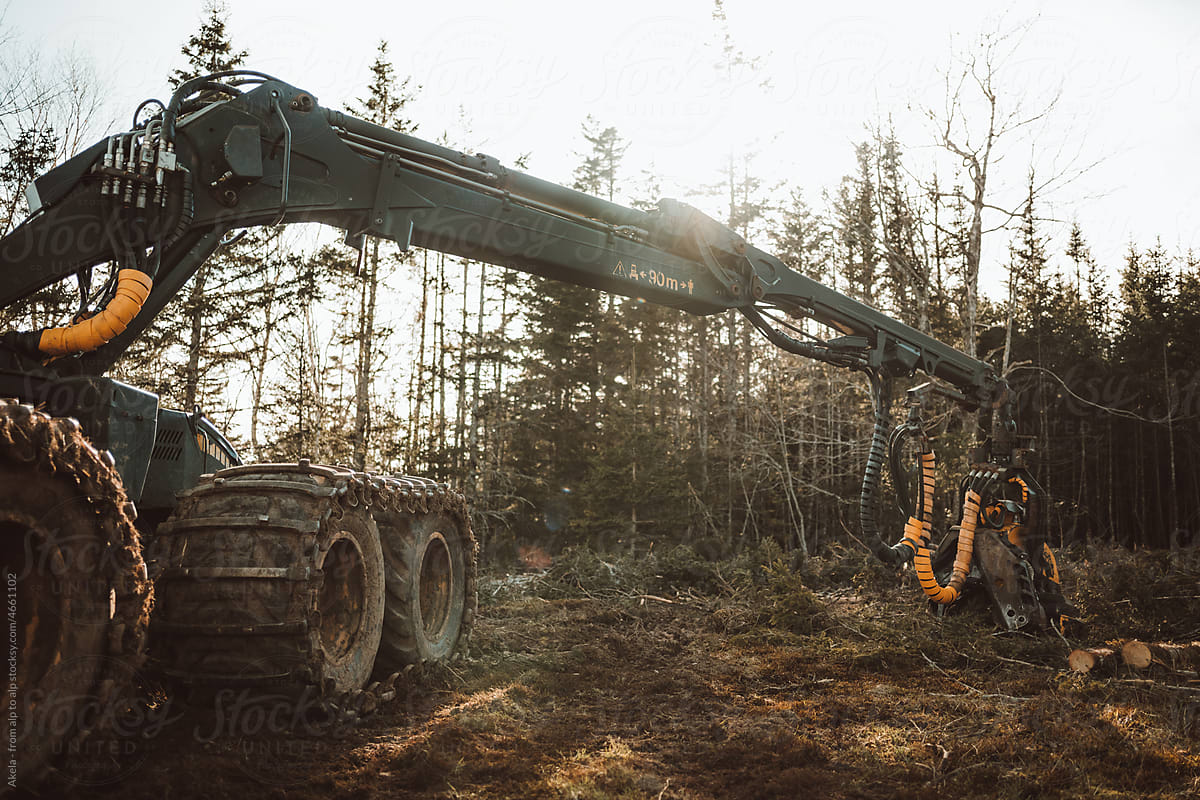 tank treaded logging machine in forest