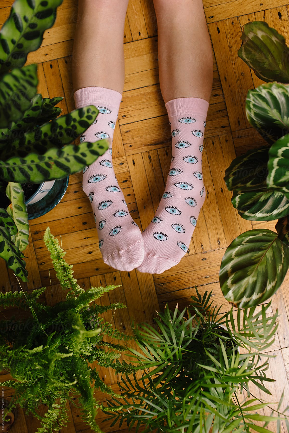Pink socks with eyes among green plants