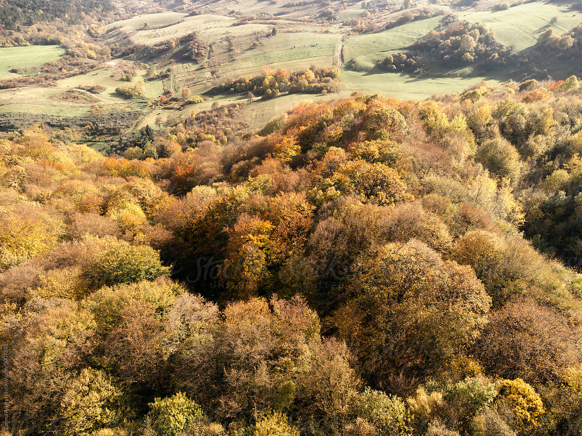 Drone shot of mountain landscape in autumn