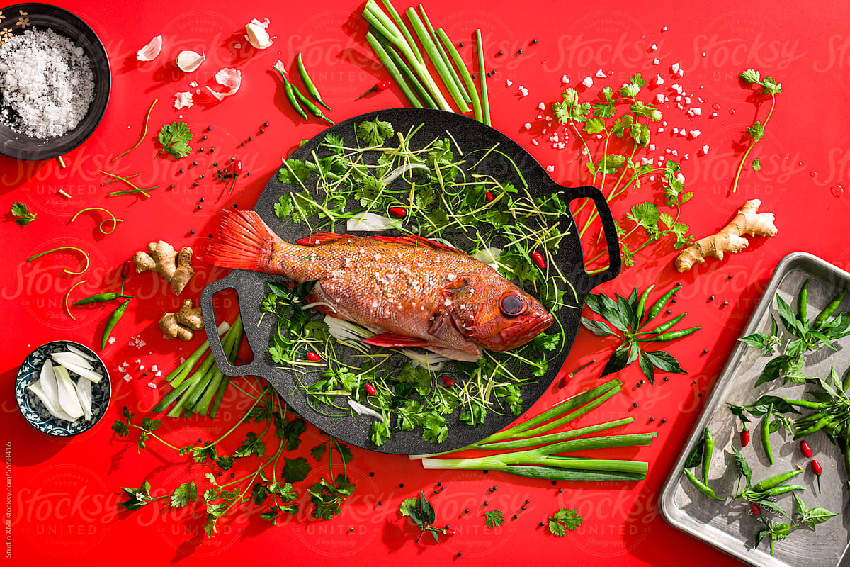 Red Snapper Fish on Red Background