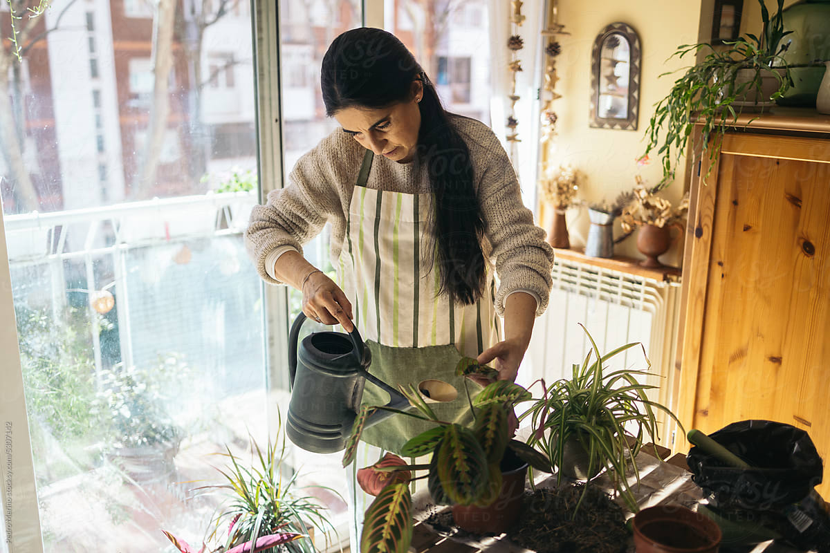 Mature Woman Watering Plants At Home