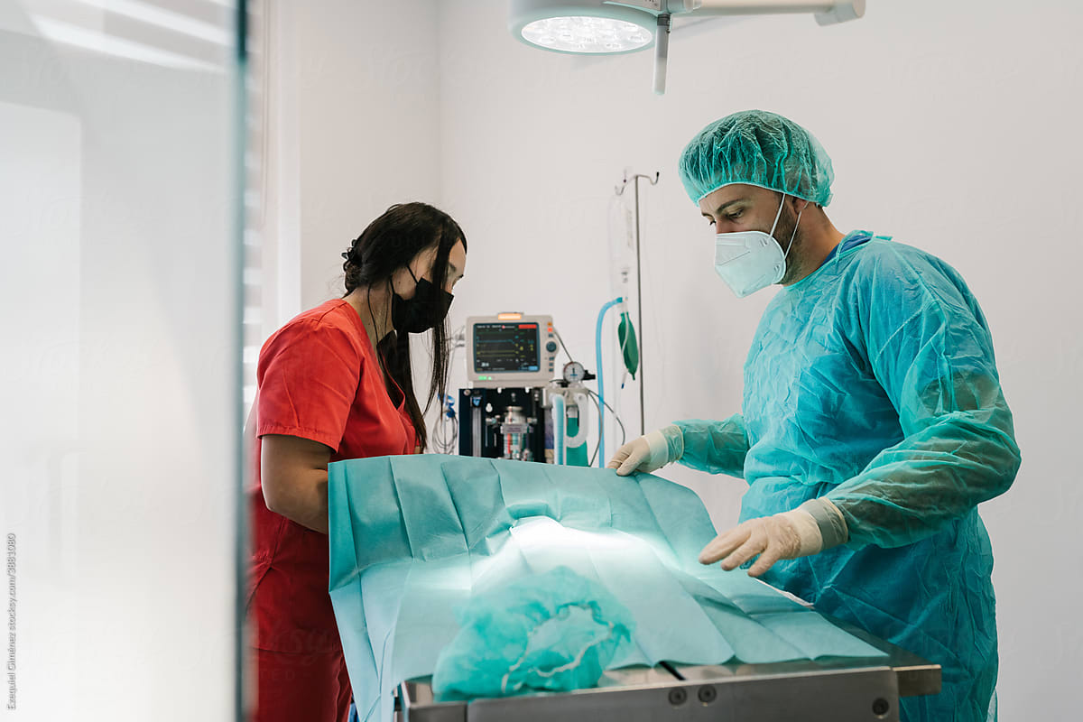Vet surgeon with assistant in operating room