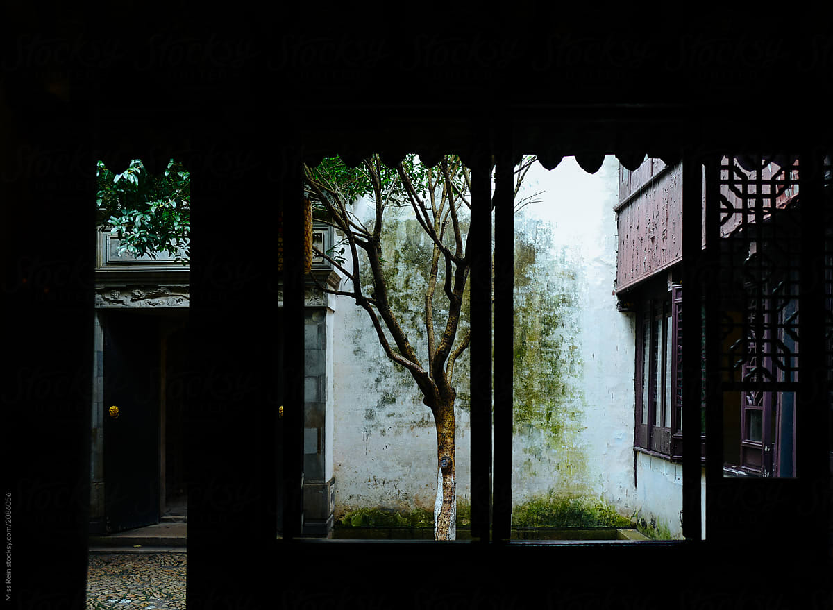 See the tree through the window of the ancient building in China\'s water town