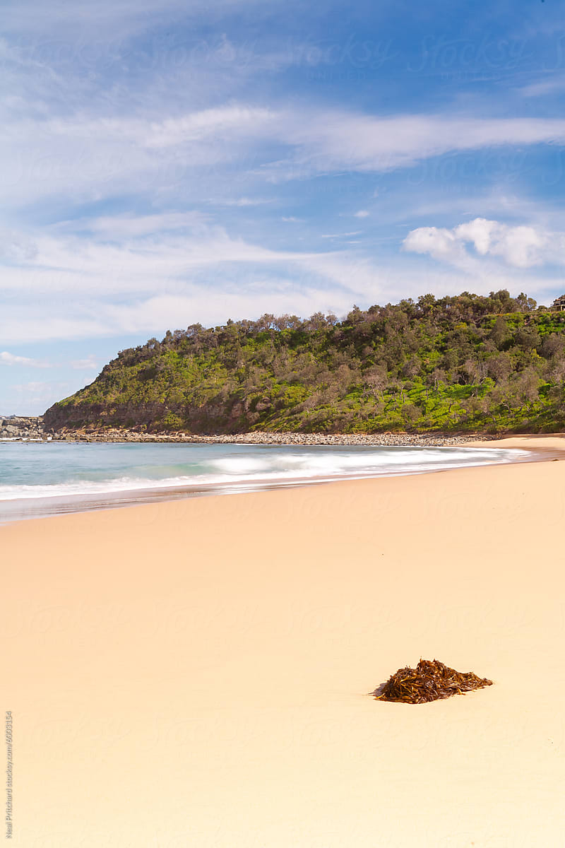 Subtropical beach in New South Wales