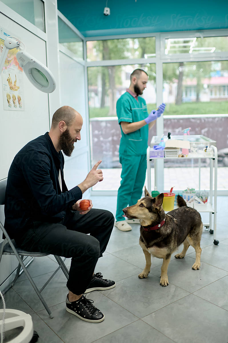 A man playing with the dogs while the doctor preparing the vaccine