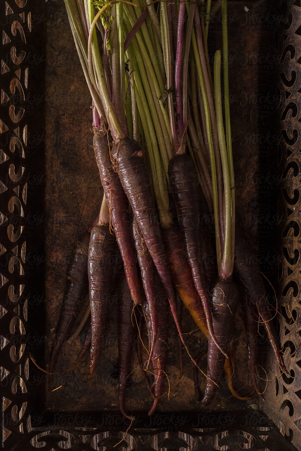 Purple Heirloom Carrots in Rustic Setting
