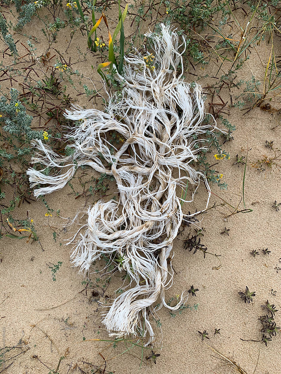 Rope in sand dune