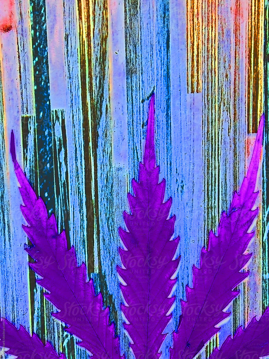 Vibrant, vivid, blue, purple marijuana, cannabis leaf background