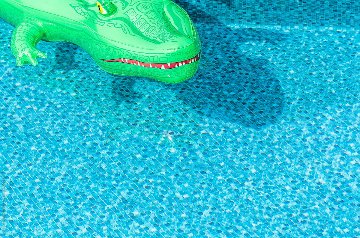 Alligator Pool Float And Its Shadow by Stocksy Contributor Deirdre  Malfatto - Stocksy