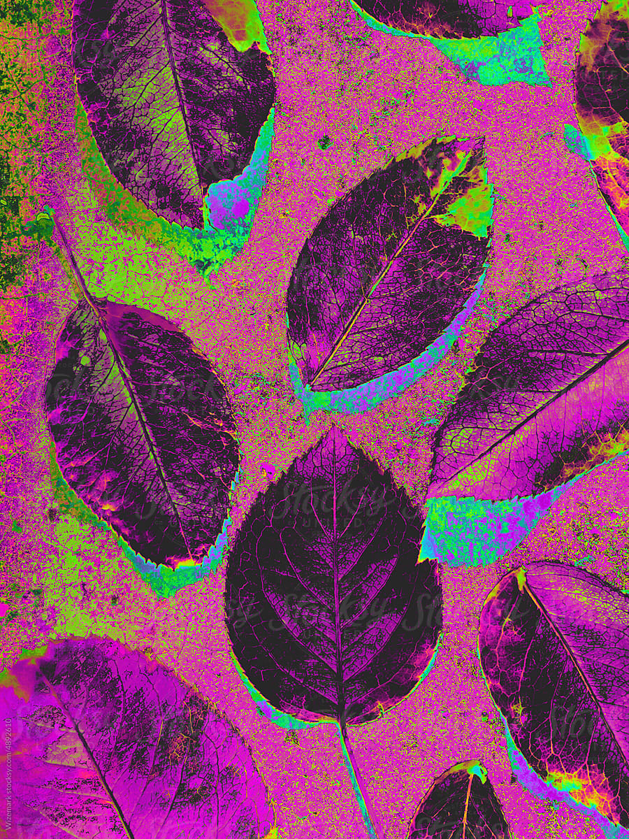 Colorful exploration of the purple, chrome leaves series