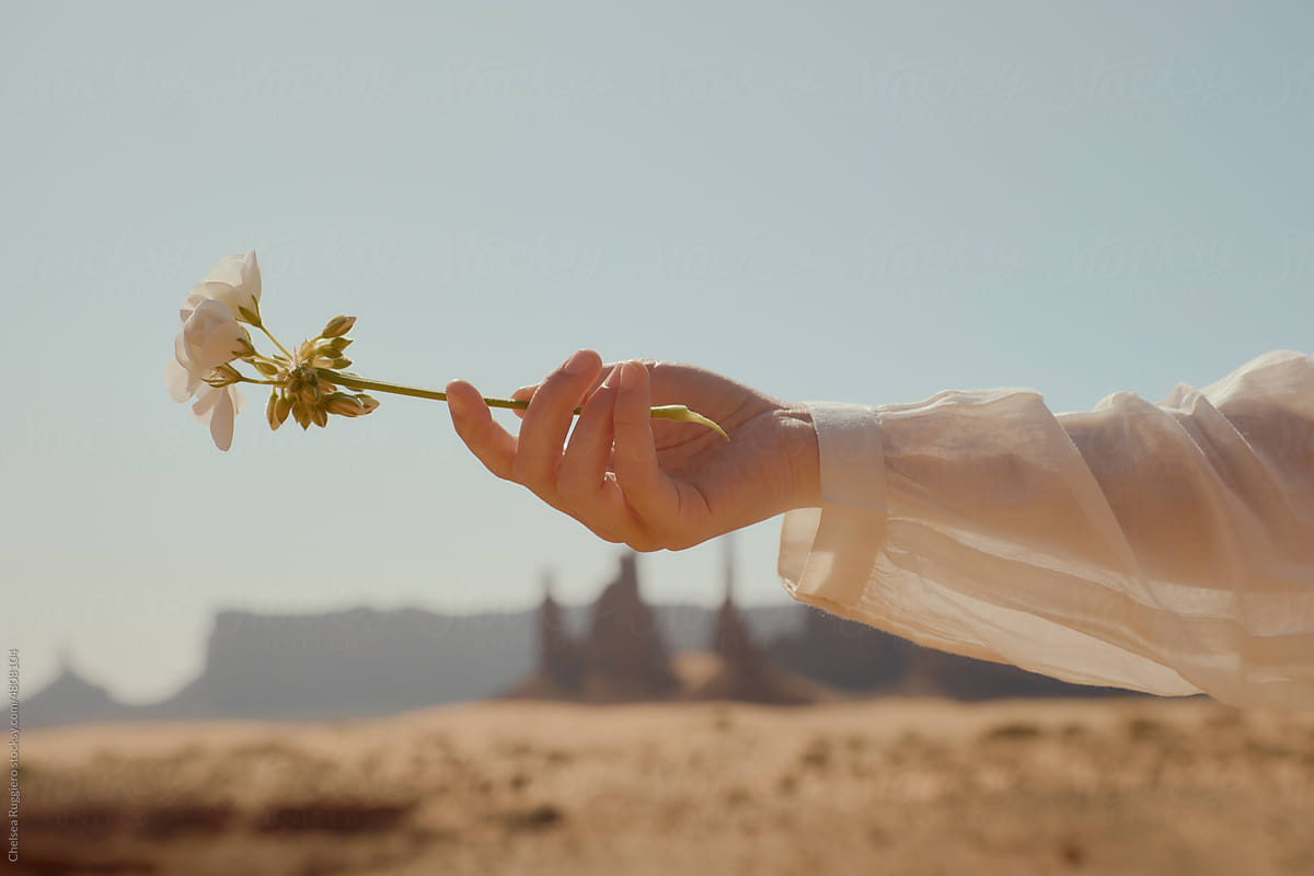 woman\'s hand holding white flower in the desert with sheer sleeve