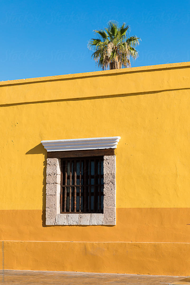 Window in a yellow wall with a palm tree behind in the sky