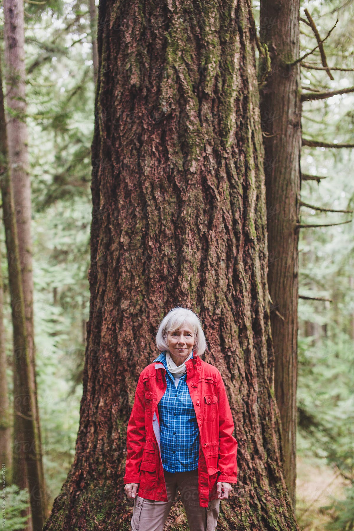 Attractive Mature Woman On A Hike Through Old Growth Forest by Rob And