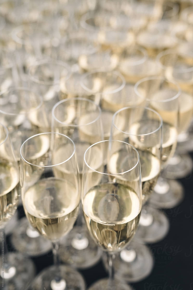 Champagne glasses filled with champagne, ready to be served to wedding guests