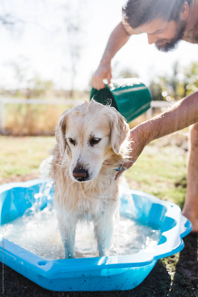 man washing dog outdoors