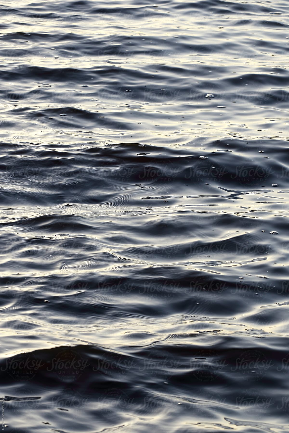 Calm waves in the water