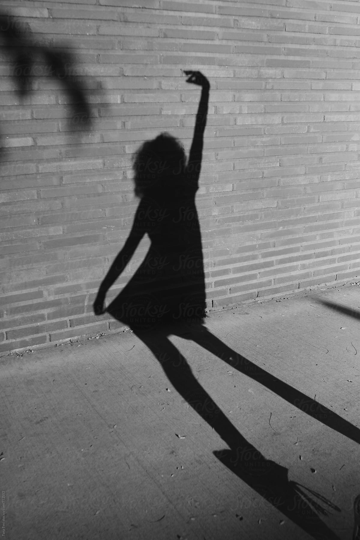 Shadow of female in dress falls on brick wall of building