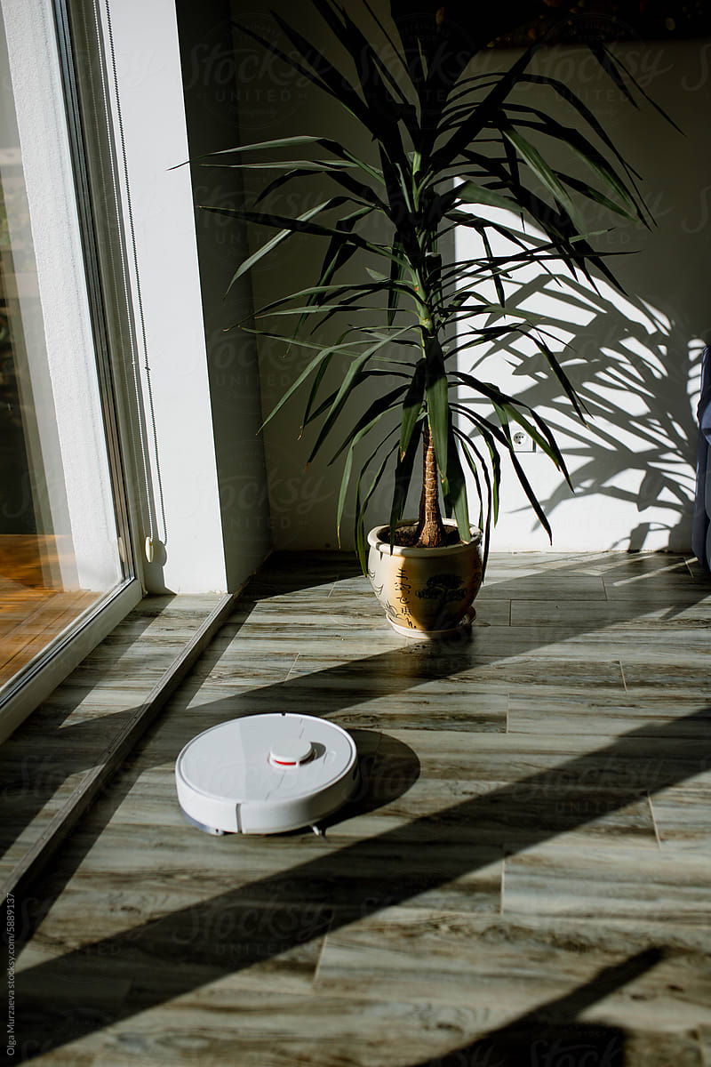 robot vacuum cleaner cleans the room