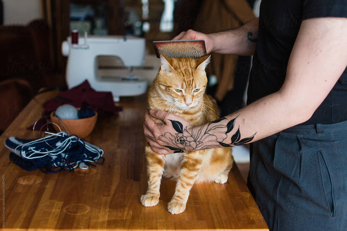Man doing house chores: brushing cat