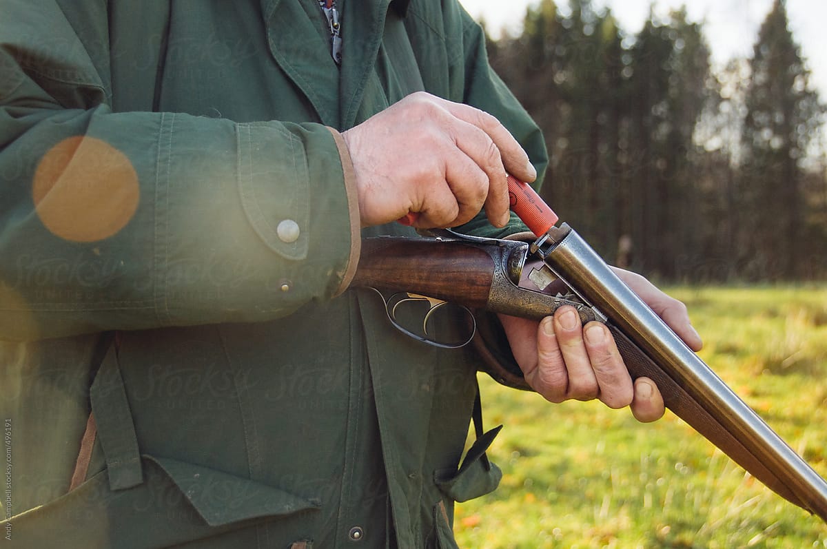 A pheasant hunter loads his shotgun