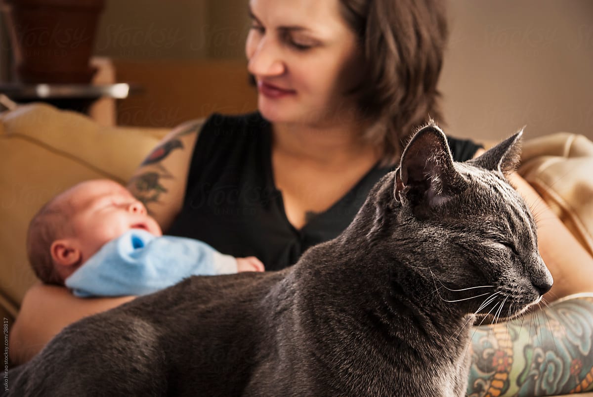 New family with newborn baby, mother and cat