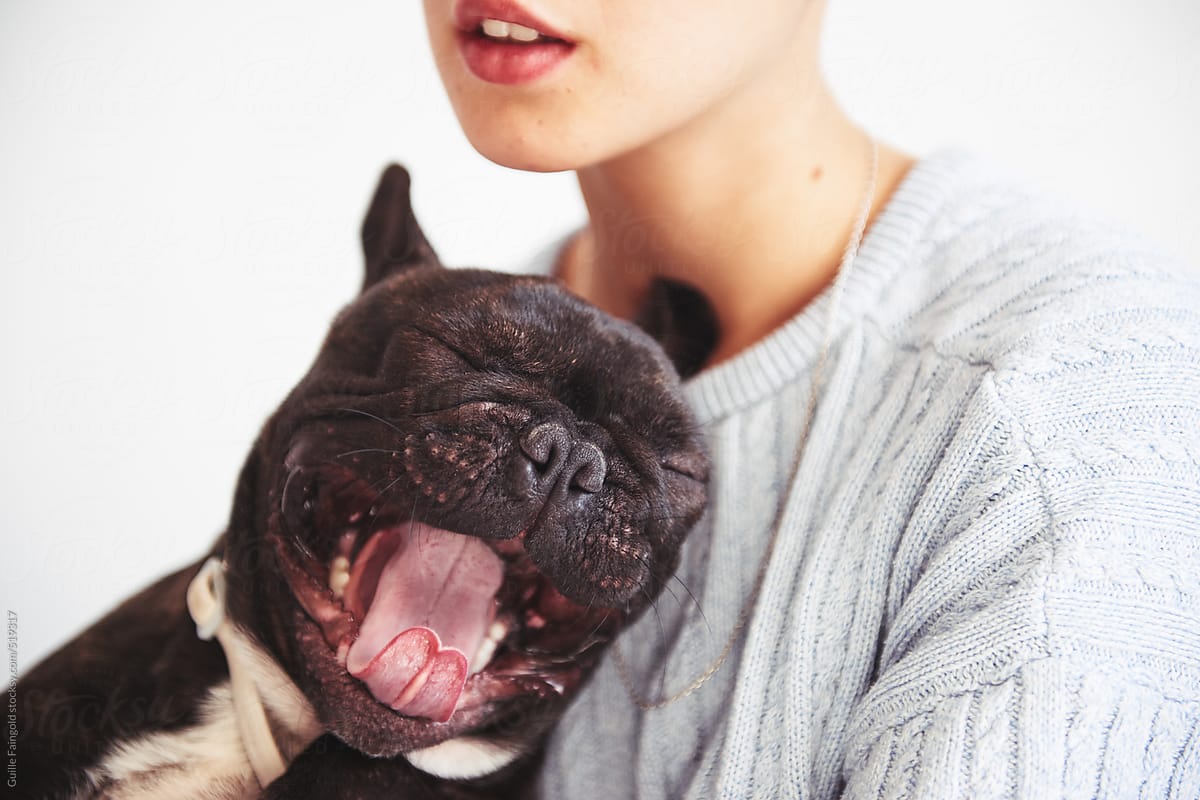 Crop woman with yawning dog