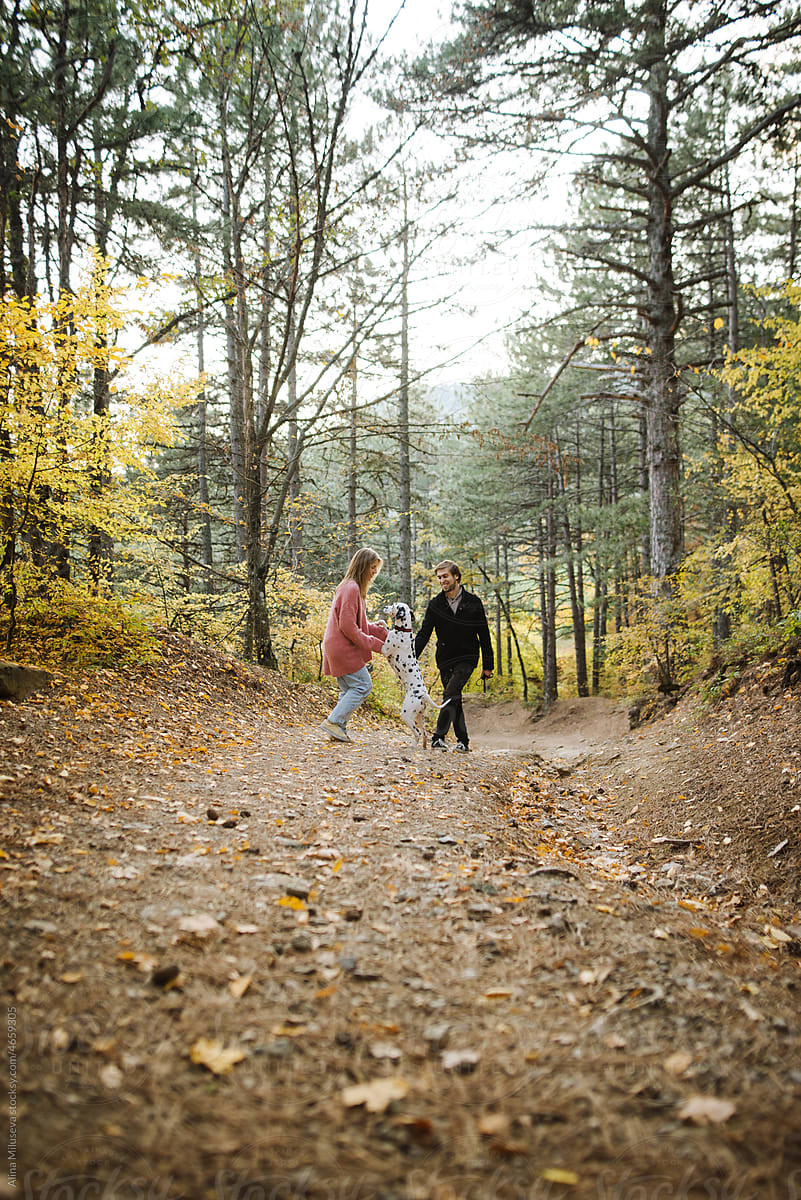 Couple playing with dog on path in autumn forest