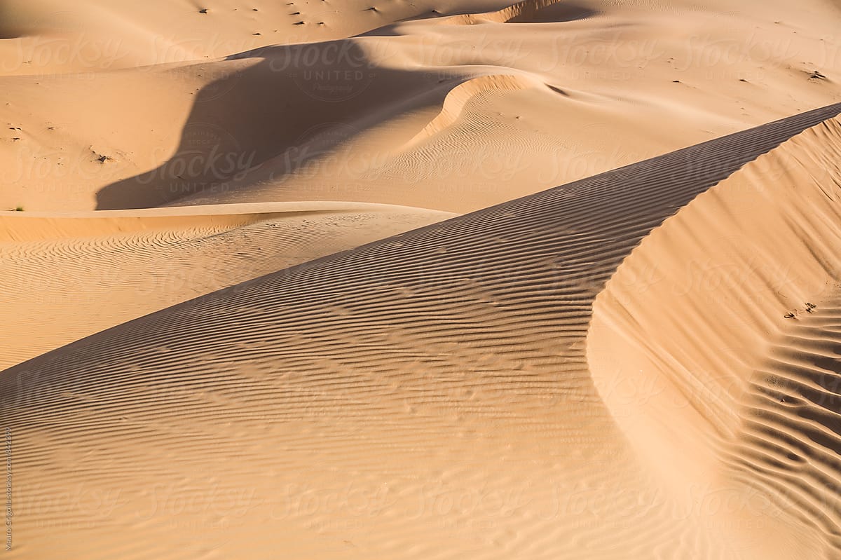 Desert dunes. copy space