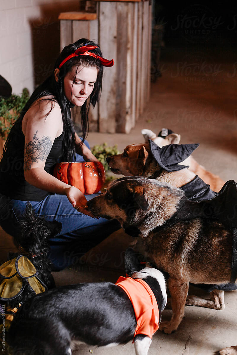 costumed woman gives treats to costumed dogs for halloween