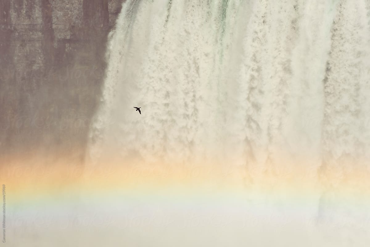 Bird Flying Over A Rainbow, Niagara Falls