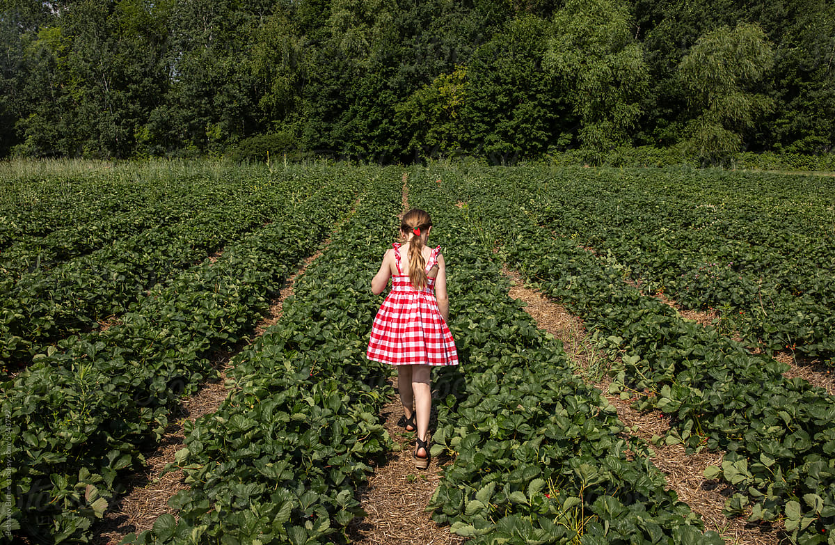 Girl in Strawberry field
