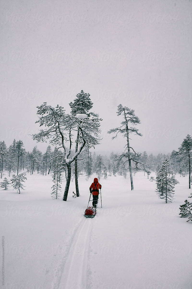 Explorer Pulling Sled Through Enchanted Winter Landscape