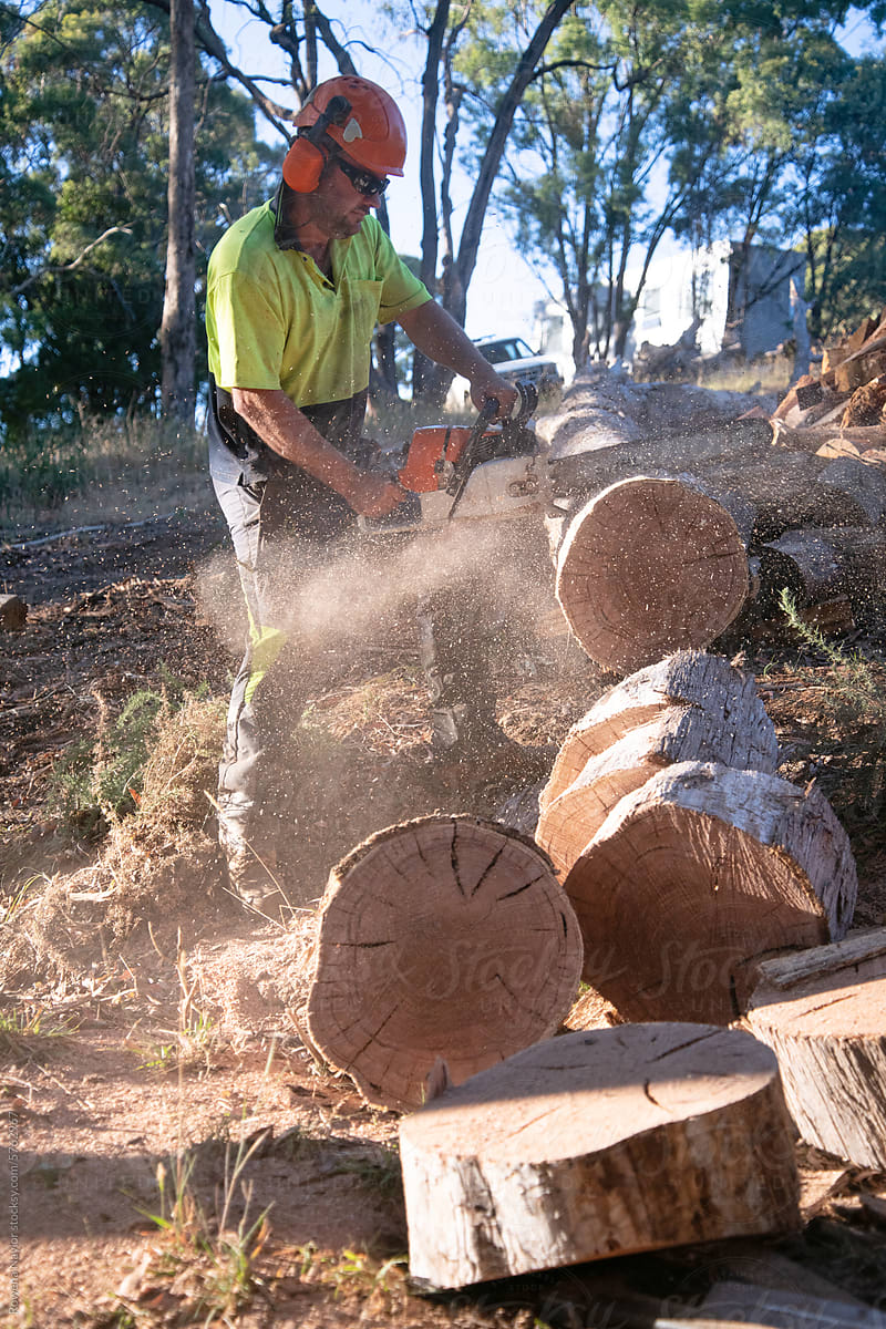 Action shot of Arborist cutting tree trunk