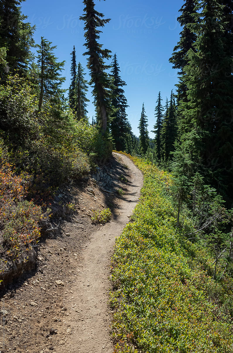 Hiking trail in mountainous alpine setting, Cascade Range, WA
