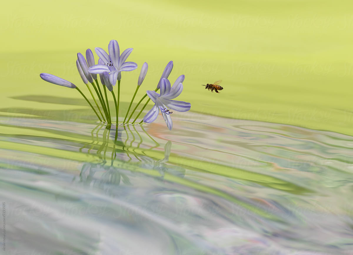 Bee approaching flowers over psychedelic water.