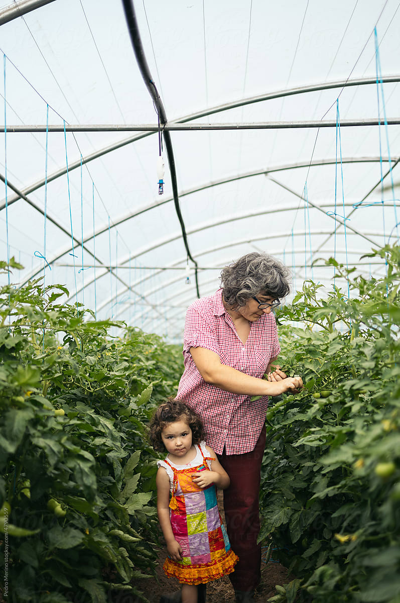 Woman working in a greenhouse with her little daughter