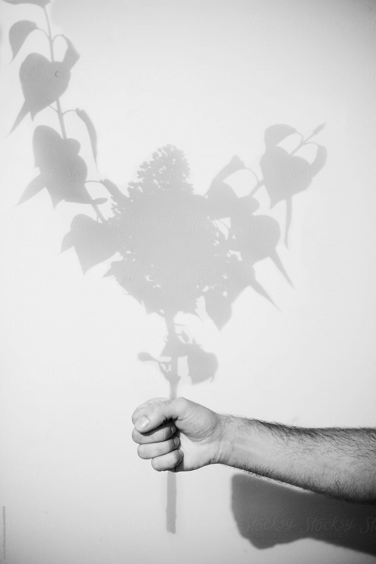 Man holding flower bouquet shadow