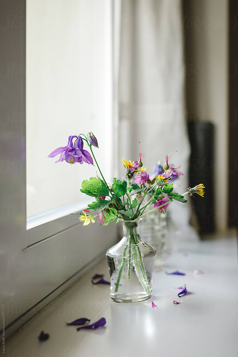 Columbines and various cut flowers inside old-fashioned glass bottles close to window