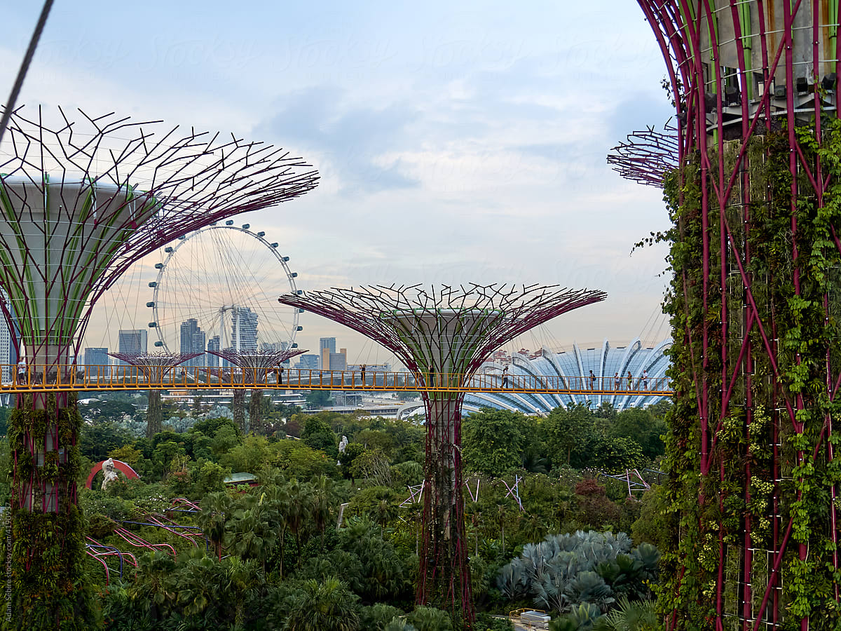 Singapore Sky Garden, Marina Bay tourist attraction
