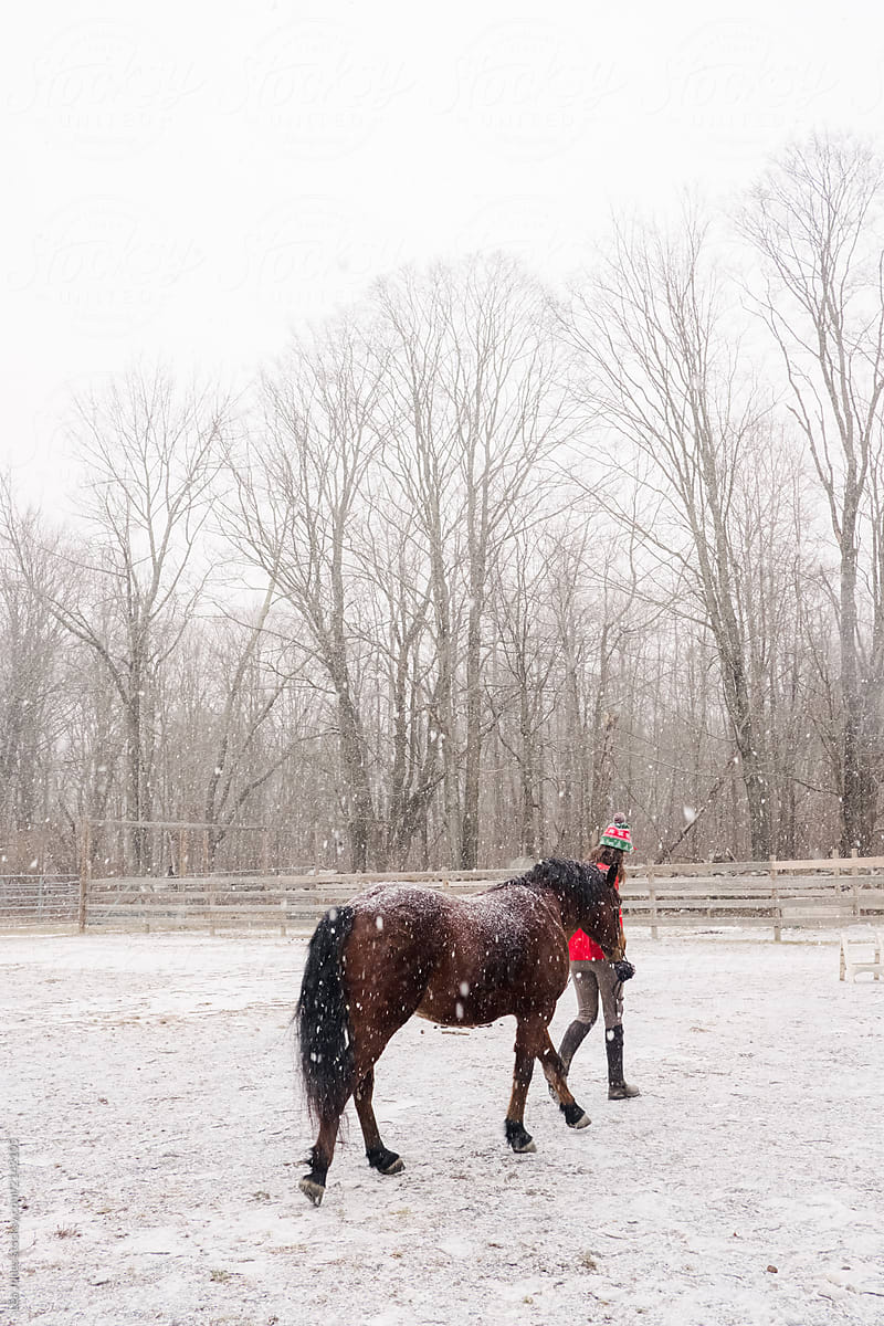 teen girl with holiday hat  and red sweater leading her horse outside in the snow