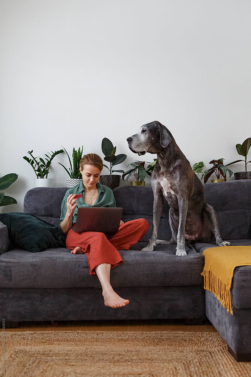 Woman making online order near dog