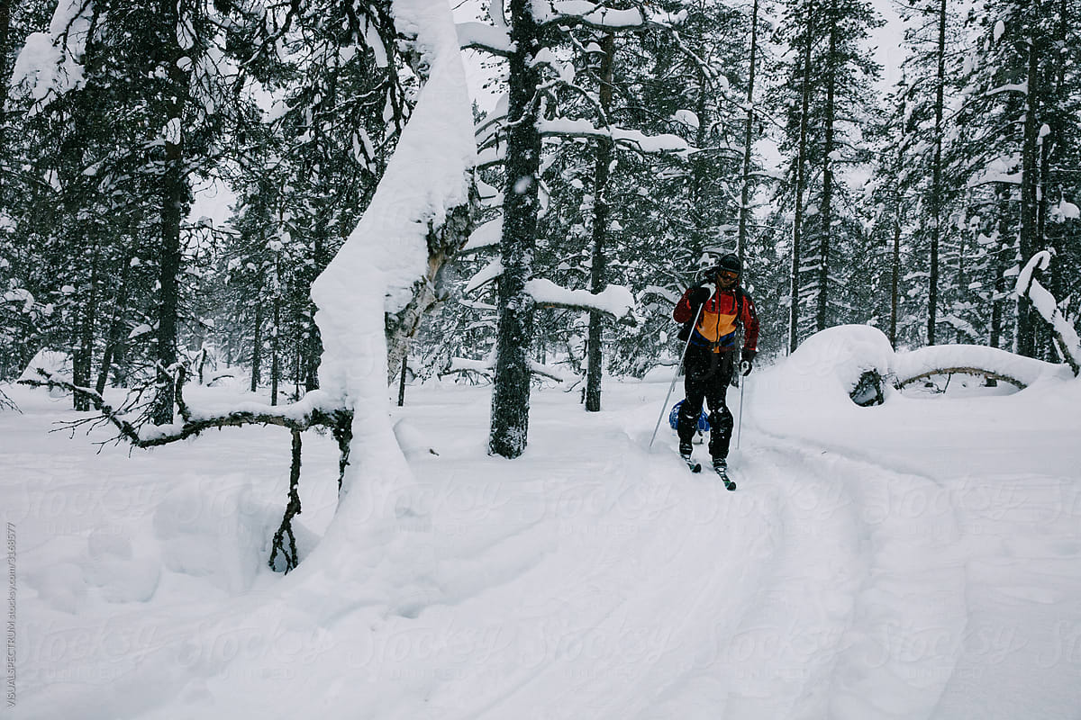 Skier Traversing Winter Forest