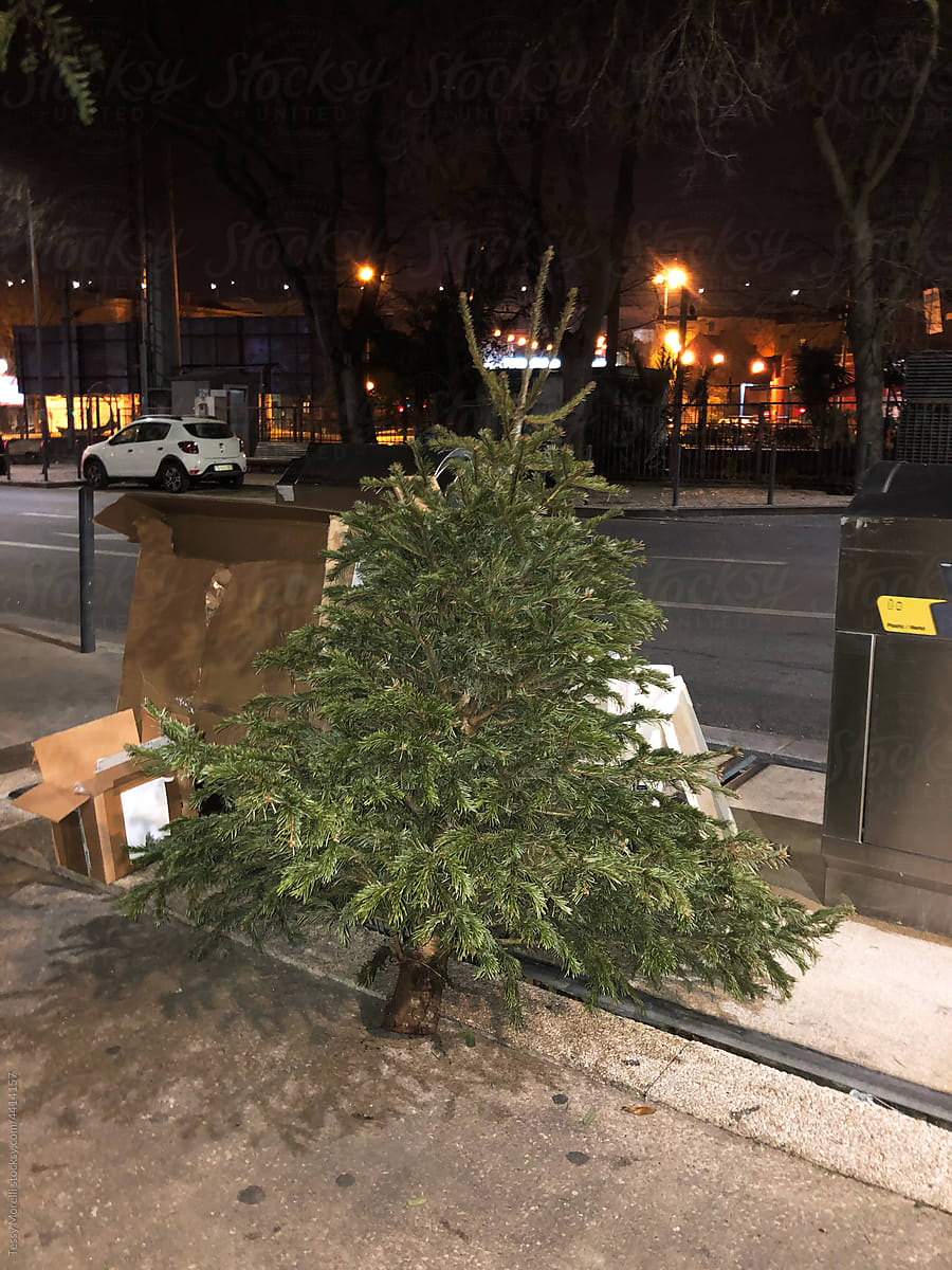 UGC Christmas tree in the street