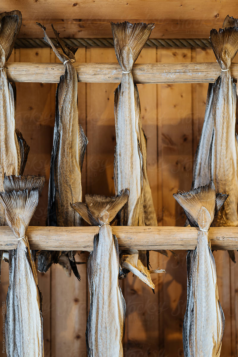 Dried fish hanging on poles