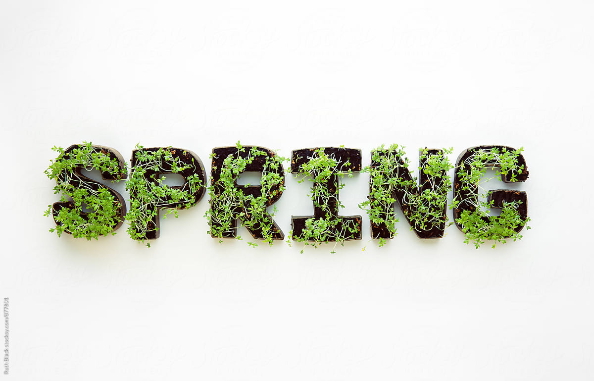 Seedlings forming the word spring